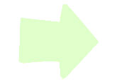 Glow Arrows 2 in-25 PC Bag