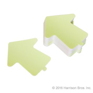 (image for) Glow Arrows 2 IN - 25 PC Bag
